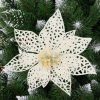 Betlehemi csillag, karácsonyi mikulásvirág, fehér